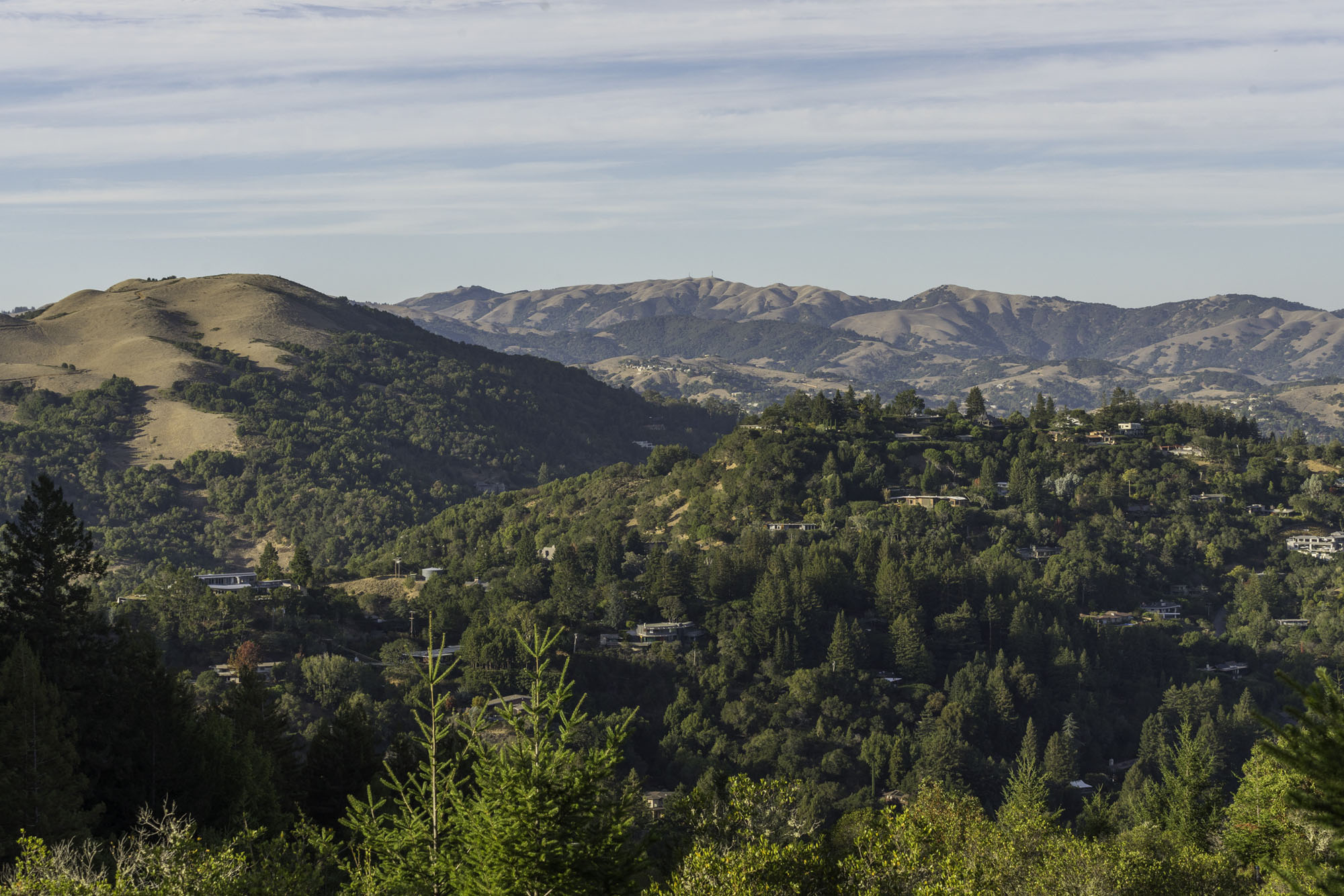 Kent Woodlands & Marin Open Space MLS